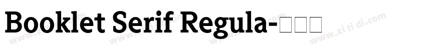 Booklet Serif Regula字体转换
